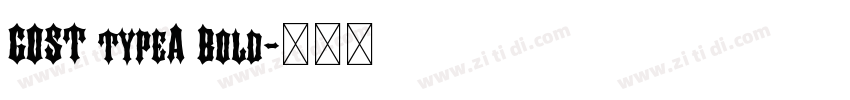 GOST typeA Bold字体转换 GOST typeA Bold字体转换